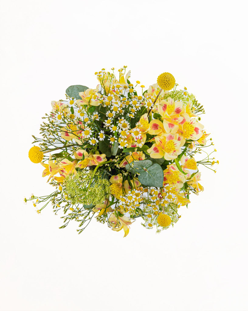 Mellow Yellow Bouquets - Baby FitaihiMellow Yellow Bouquets