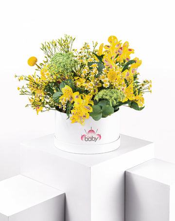 Mellow Yellow Bouquets - Baby FitaihiMellow Yellow Bouquets