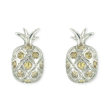 Pineapple Earrings - Baby FitaihiPineapple Earrings