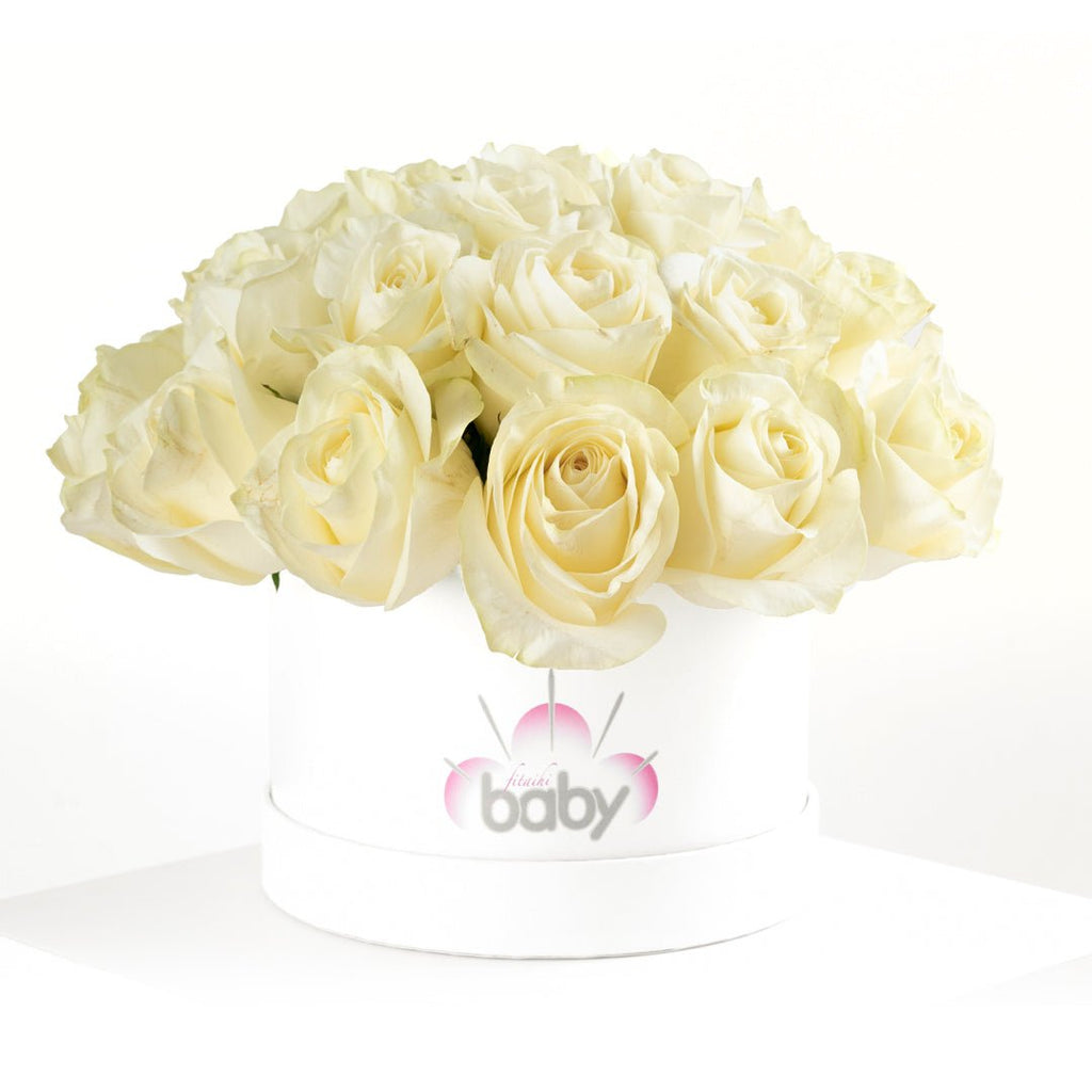 Premium White Roses - Baby FitaihiPremium White Roses