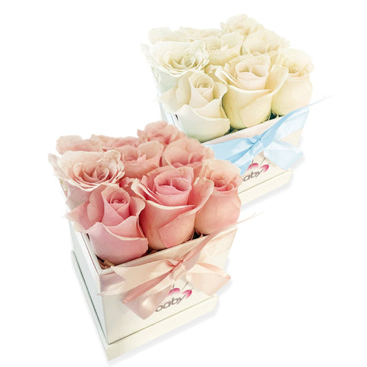Roses Small Arrangement - Baby FitaihiRoses Small Arrangement